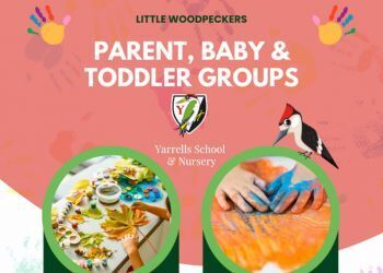 Parent, Baby & Toddler sessions