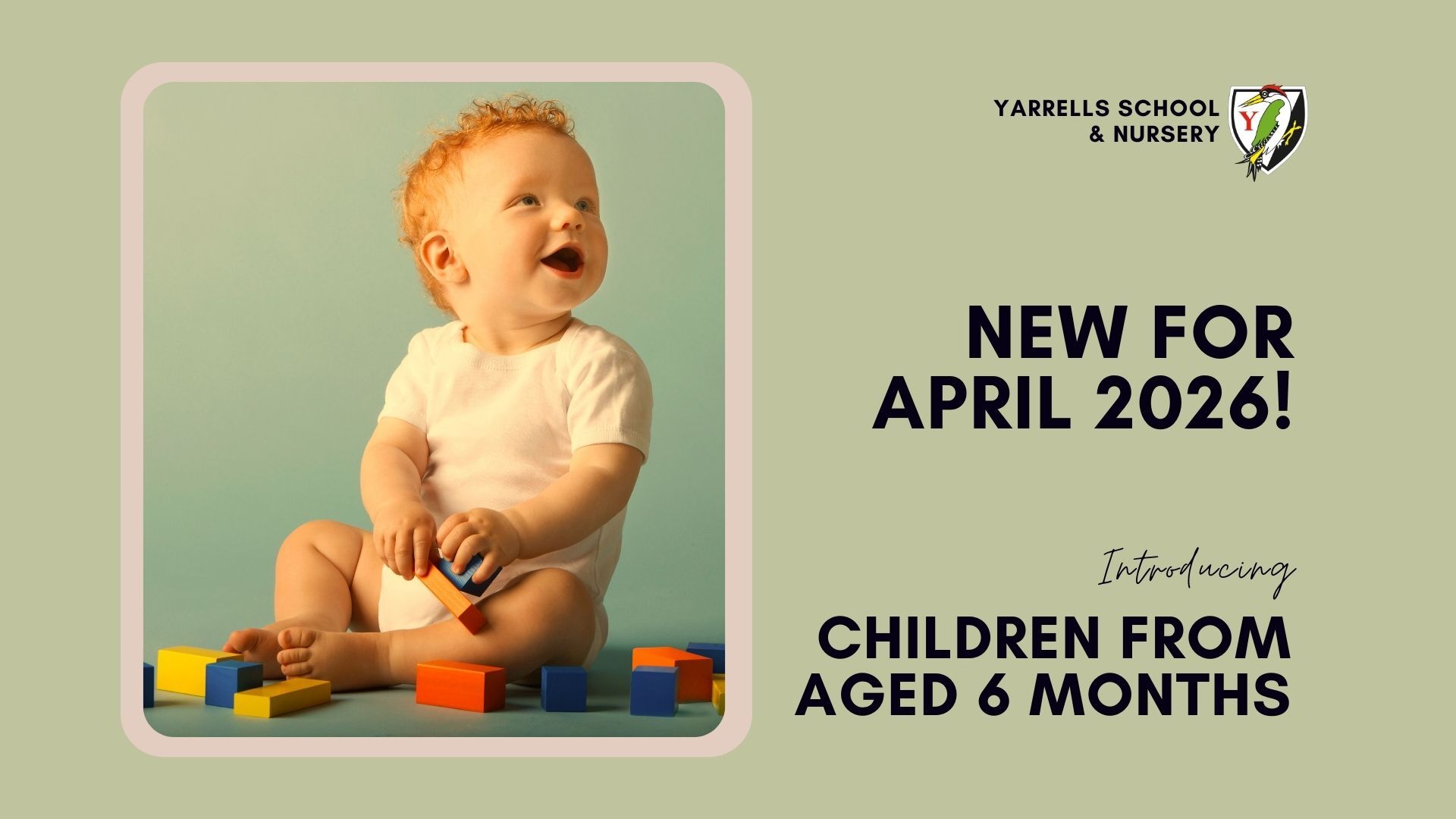 Yarrells Nursery Babies (Video)